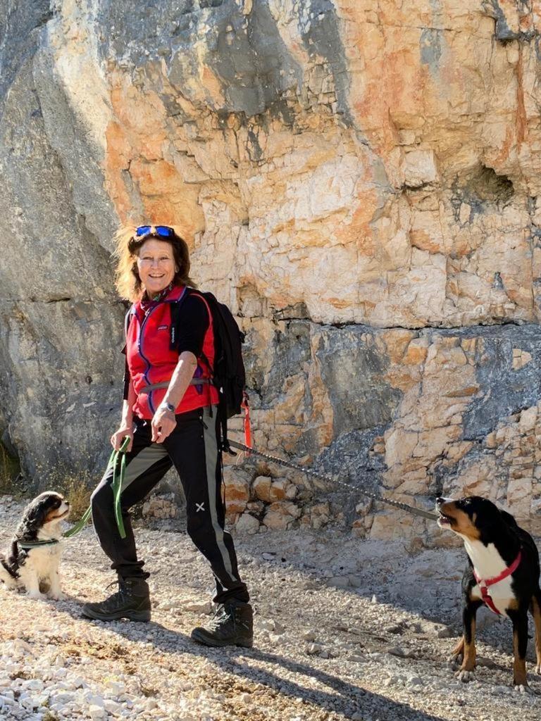 B&B Cristallo Cortina dʼAmpezzo Dış mekan fotoğraf