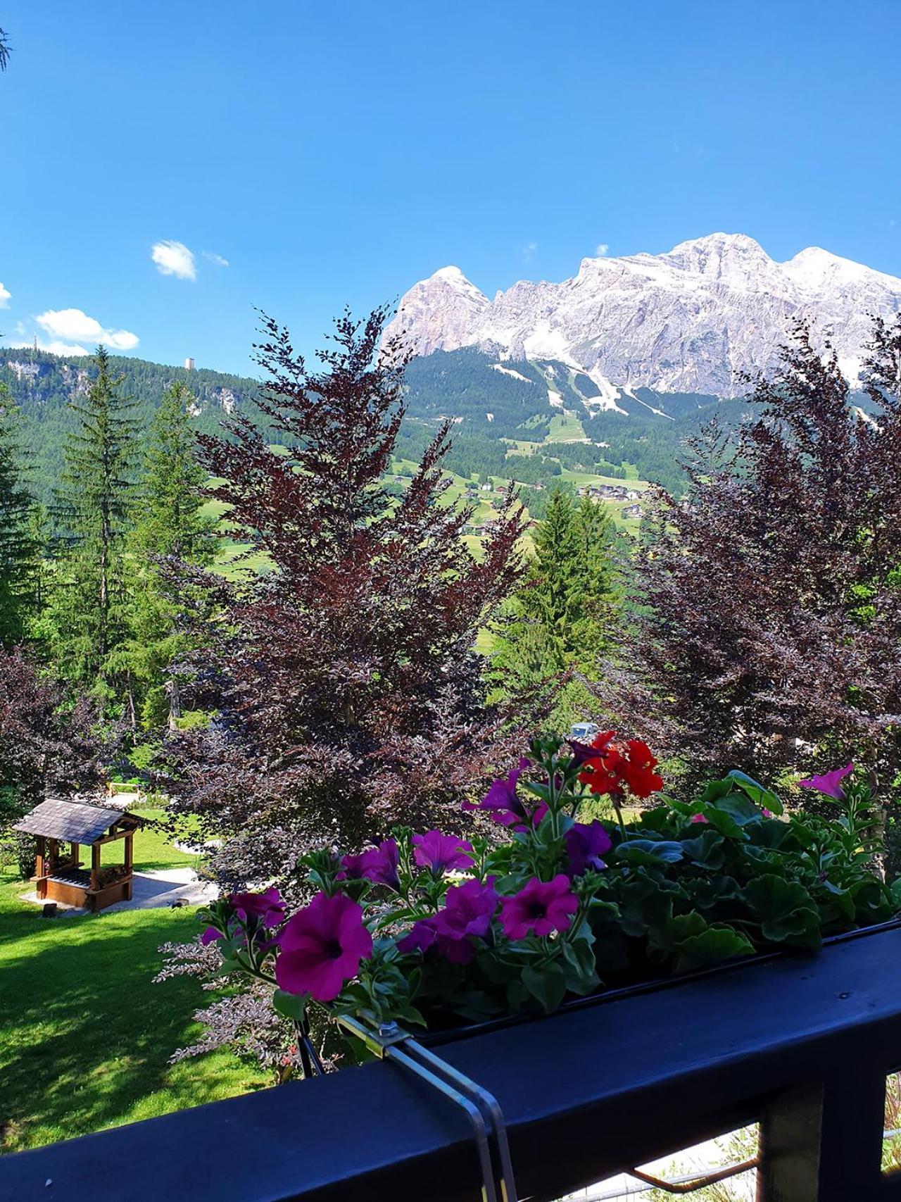 B&B Cristallo Cortina dʼAmpezzo Dış mekan fotoğraf